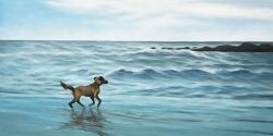 Chien à la plage