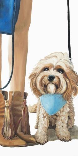 Chien cavoodle à la mode