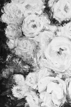 Monochrome rose garden