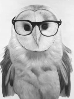 Realistic barn owl with glasses