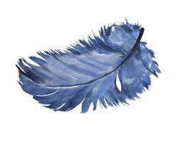 Plume bleue à l'aquarelle