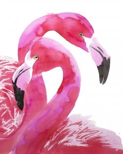 Watercolor flamingo love