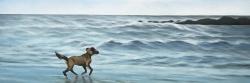 Chien à la plage