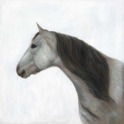 Winter horse
