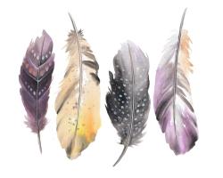 Ensemble de plumes bohème