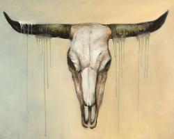 Bull skull