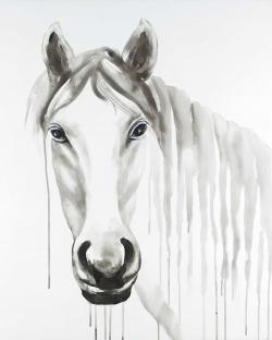 Solitary white horse