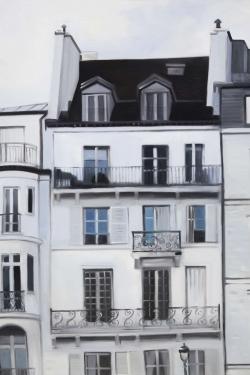 Buildings along the seine river