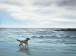 Chien à la plage