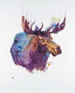 Abstract moose