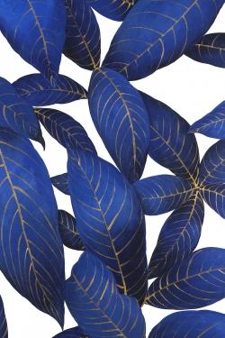 Abstract modern blue leaves