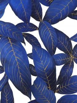 Abstract modern blue leaves