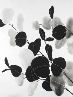 Branches et feuilles rondes