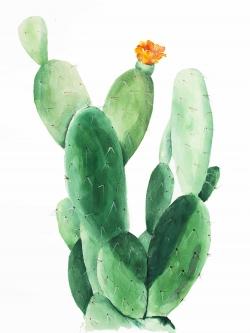 Watercolor paddle cactus with flower