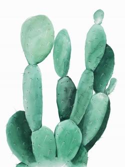Watercolor paddle cactus