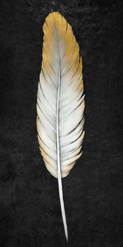 Plume dorée