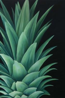 Feuilles d'ananas