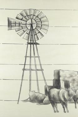 Vintage old texas windmill