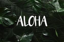 Tropical aloha