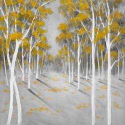 Forêt de bouleaux jaunes