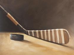 Stick and hockey puck