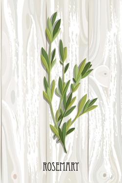 Rosemary on wood