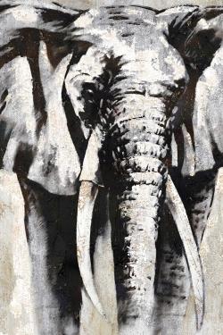 Grayscale elephant