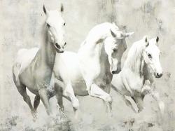 Trois chevaux blancs à la course