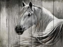 Rustic horse