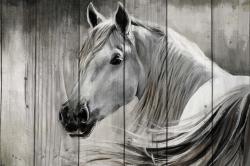 Rustic horse