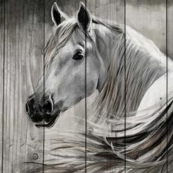 Rustic horse
