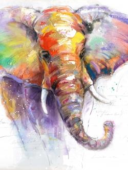 Beautiful and colorful elephant