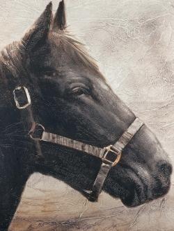 Gallopin le cheval brun