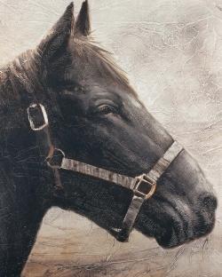 Gallopin le cheval brun