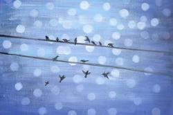 Oiseaux sur ciel bleu scintillant