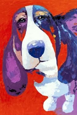 Abstract colorful basset dog