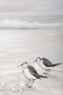 Deux oiseaux bécasseau