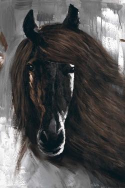 Dark brown horse