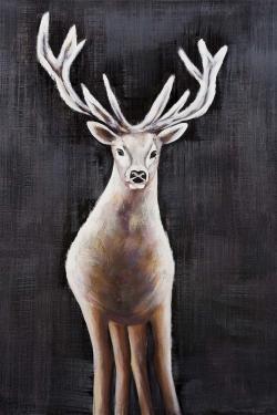 Lonely deer