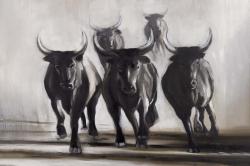 Running fierce bulls