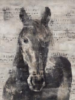 Cheval abstrait et typographie