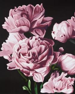 Pink peonies