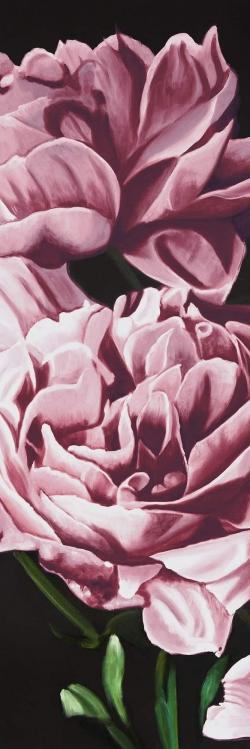 Pink peonies