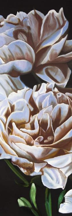Peonies