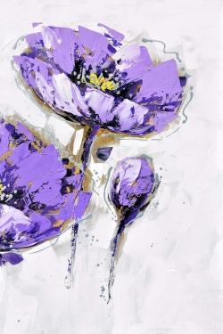 Purple anemones