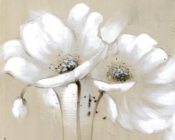 White abstract wild flowers