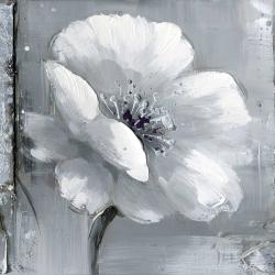 Gray & white flowers
