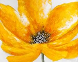 Big yellow flower