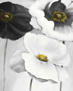 Assorted white flowers