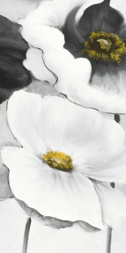 Assorted white flowers